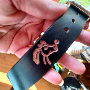 Pet Collar